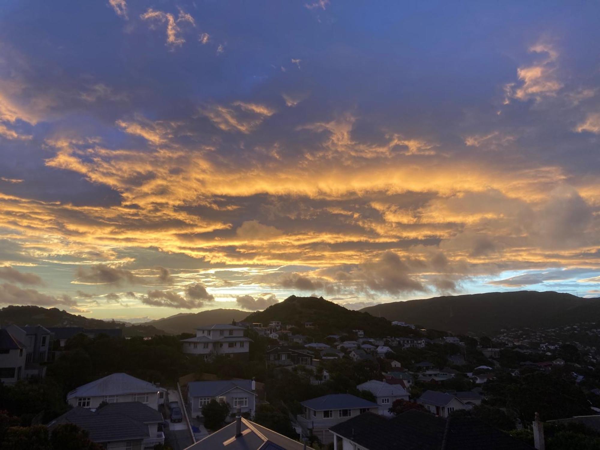 Khandallah Harbour View Bnb Wellington Exterior photo
